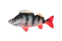 Fox Rage Ultra Natural Perch Fillet