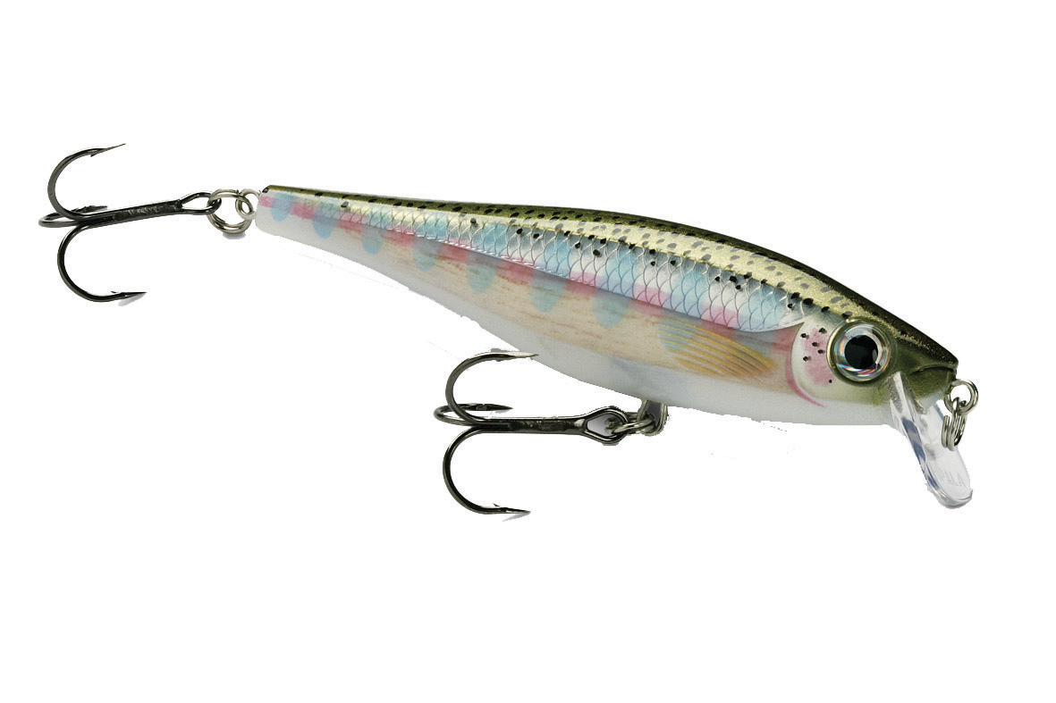 RAPALA BX MINNOW BXM10 RA5813029.jpg