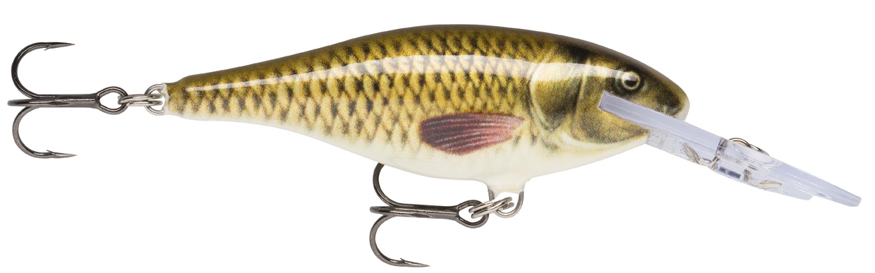RAPALA SHAD RAP SR07 RA5819145_4.jpg